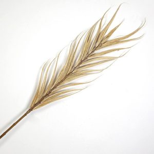 RAMA RAYUNG NATURAL 40X2X180CM